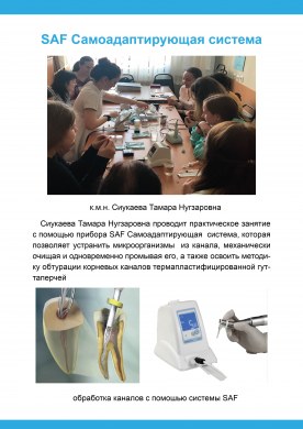 ординатура стоматология общей практики где пройти. %D0%91%D1%80%D0%BE%D1%88%D1%8E%D1%80%D0%B0 08. ординатура стоматология общей практики где пройти фото. ординатура стоматология общей практики где пройти-%D0%91%D1%80%D0%BE%D1%88%D1%8E%D1%80%D0%B0 08. картинка ординатура стоматология общей практики где пройти. картинка %D0%91%D1%80%D0%BE%D1%88%D1%8E%D1%80%D0%B0 08.